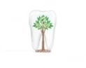 Стоматолог і Я