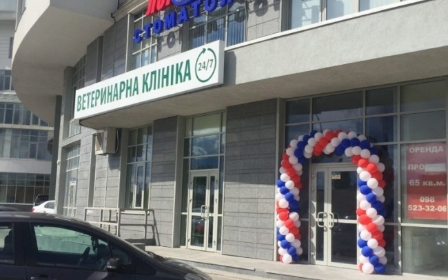Хелсі Смайлс, стоматологічна клініка